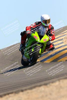 media/Feb-12-2022-SoCal Trackdays (Sat) [[3b21b94a56]]/Turn 12 (140pm)/